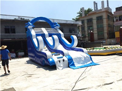 Blue Dolphin Inflatable Slide For Kids BY-DS-106